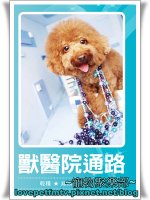 9網誌用.jpg