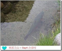 DSCF2130