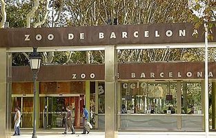 Barcelona-zoo.jpg