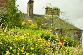 DSC_1394.JPG