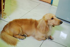 DSC_0017.JPG