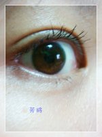 DSC07408.JPG