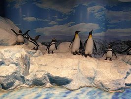 SAM_0539