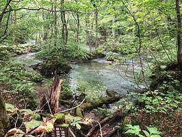 【2023/09日本東北-緊湊6日｜夏末自駕｜異地租還｜行程