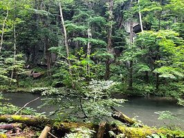 【2023/09日本東北-緊湊6日｜夏末自駕｜異地租還｜行程