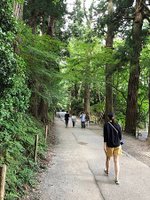 【日本東北-平泉町世界文化遺產｜入世中尊寺｜出世毛越寺｜巖美