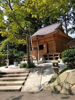 【日本東北-平泉町世界文化遺產｜入世中尊寺｜出世毛越寺｜巖美