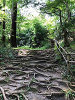 【2023/09日本東北-平泉町世界文化遺產｜入世中尊寺｜出