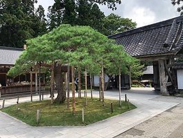 【2023/09日本東北-平泉町世界文化遺產｜入世中尊寺｜出