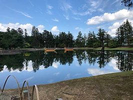 【2023/09日本東北-平泉町世界文化遺產｜入世中尊寺｜出