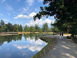 【2023/09日本東北-平泉町世界文化遺產｜入世中尊寺｜出