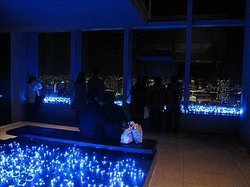 IMG_4555