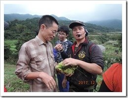 水草與植物的解紹