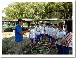 106年7月4日生態導覽及在地埤塘特色課程，地點：善水草堂