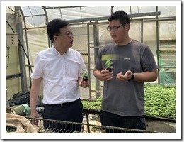 鄒校長與紫城農場探討仙草植物作物栽培