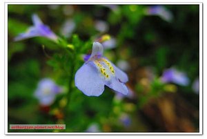 2016-04-03-29