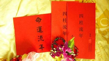 照片 833