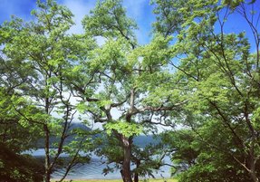 20180609_IMG_5006.JPG