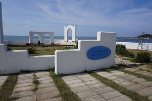 _DSC0529