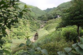 IMG_0410.JPG