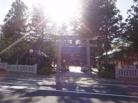 01.jpg