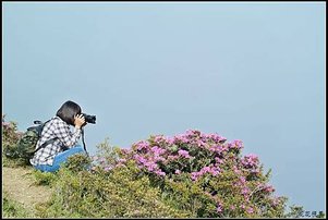 DSC_6370a