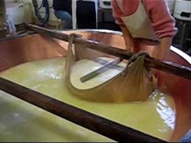 圖2 parmigiano-reggiano makning.jpg