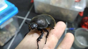 P_20160221_145133.jpg
