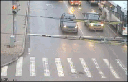奔跑哥.gif