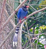 IMG_7514.JPG