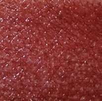 IMG_20170503_170550.jpg