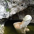 DSC06221.JPG