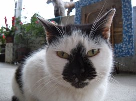 DSCN0836.jpg