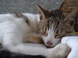 DSCN0829.jpg