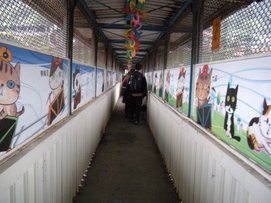 DSCN0817.jpg