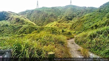 IMAG0694.jpg