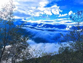 太平山包車,太平山接駁翠峰湖包車旅遊,7人座休旅車/9人座小