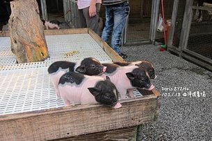 IMG_0045拷貝.jpg