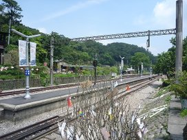 P1010039.JPG