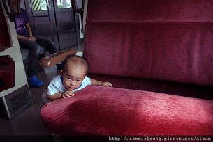 IMG_8801 copy