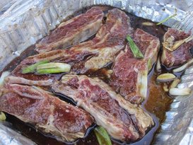 IMG_3433r.JPG
