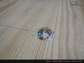 DSCN2154.JPG
