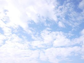 P1030911