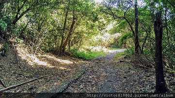 IMAG0660.jpg