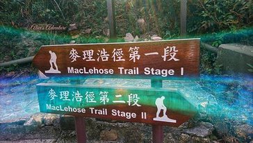sign 2 medium.jpg