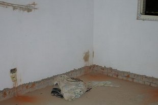 S1-D1.JPG