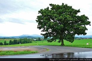 DSC03783 (1024x683).jpg