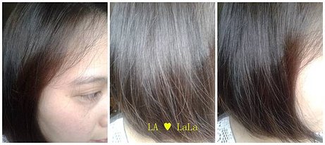 Elastine香水洗髮精 11.jpg