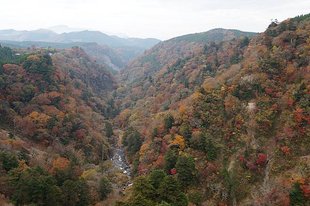 DSC07688.JPG