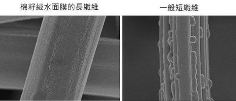 ScienAQUA科水 三部曲面膜~棉籽絨水面膜長纖維和一般短纖維的放大圖